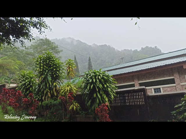 Heavy Rain on a Tin Roof in a Mountain House | ASMR Sleep 8 Hours