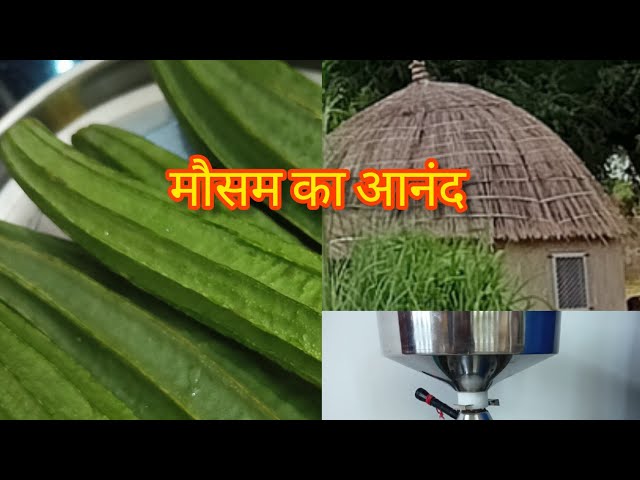 मौसम का आनंद 🌧️ धरती का श्रृंगार पेड़ पौधे 🌴🌿 गांव बना हिमाचल👌 village life 🏡 vlog video, vlogs