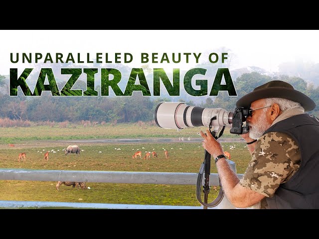 Exploring Assam's rich biodiversity: PM Modi at Kaziranga National Park