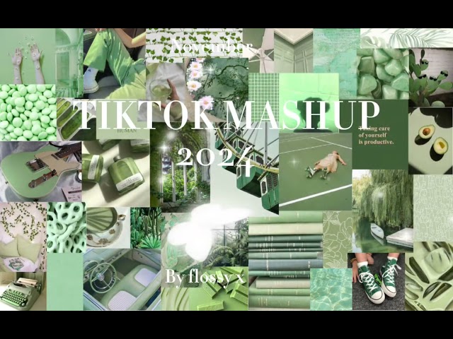 Tiktok mashup 💚November💚 2024! (not clean!!!)