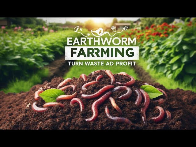 Earthworm Farming: A Sustainable and Profitable Venture