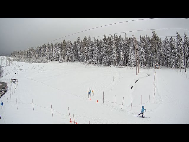 Nordic Area Cam