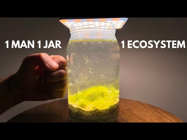 1 MAN 1 JAR 1 ECOSYSTEM!