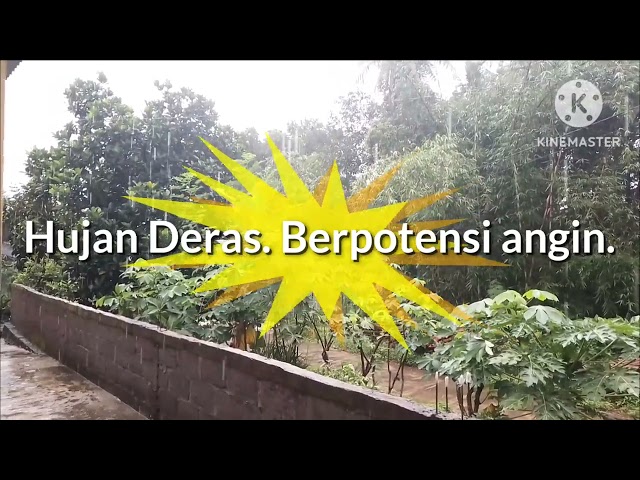 Hujan Deras = Pohon Tumbang. Tonton sampai selesai guys. #viral #hujan #pohontumbang