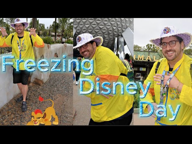 Freezing Day at Disney! Animal Kingdom & Epcot Adventures + Festival of the Arts Giveaway 🎨❄️