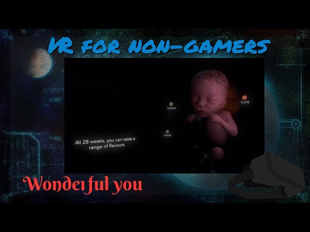 Fetus in Virtual Reality with Wonderful You