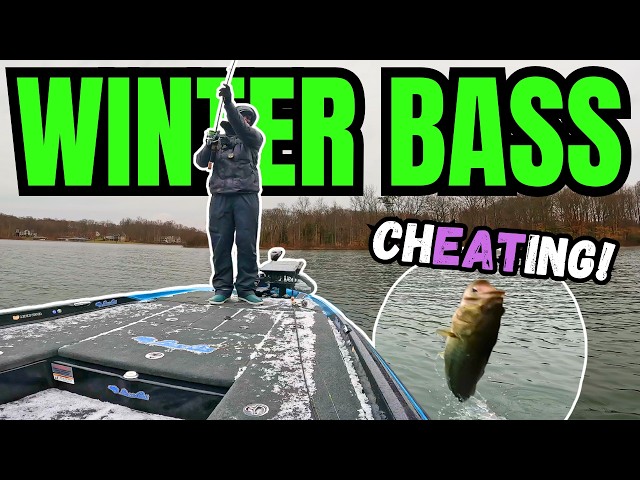 FREEZING Weather Brings INSANE Fishing Action