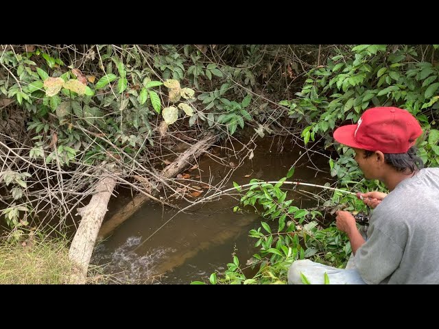 Mancing di bawah kayu yang melintang.!!! Ternyata ada ikan besar nya mas bro