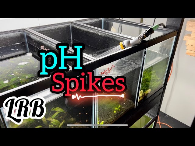 pH Spikes During Water Changes Why I use TDS Meters 4K