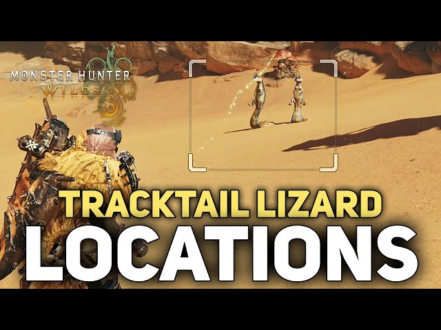 How To Find Tracktail Lizards Location - Monster Hunter Wilds