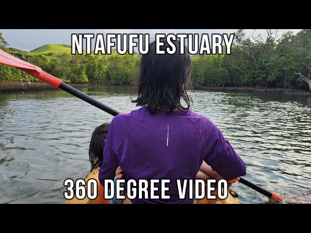 Canoeing on the Ntafufu mangroves