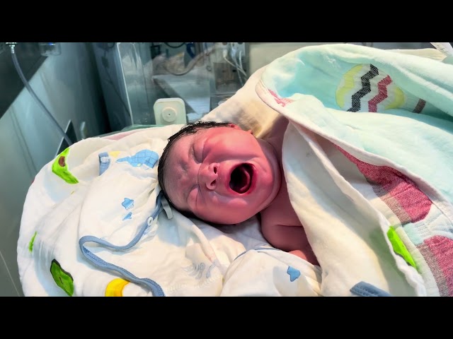 Newborn baby looking for first touch,#cutebabyhaven #happymom,#youtubrshorts,#cute, #short,#viral