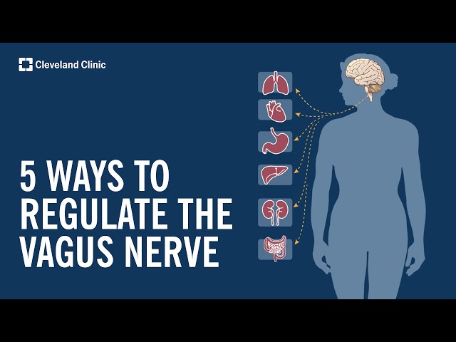 5 Ways to Stimulate and Regulate Your Vagus Nerve