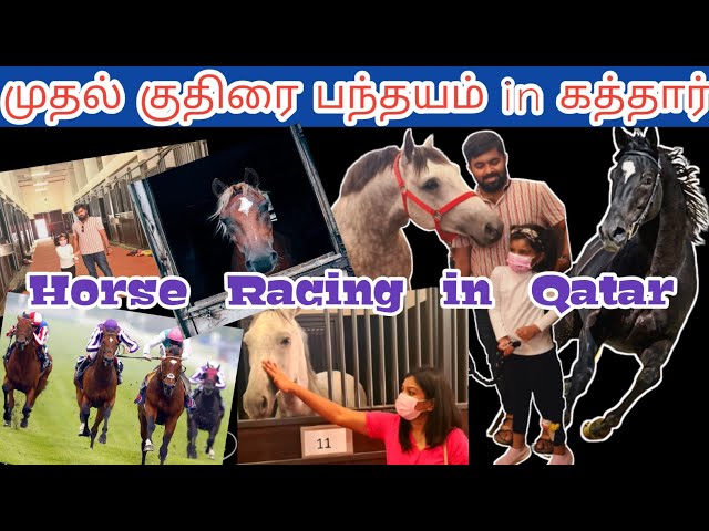 குதிரை பந்தயம் | A DAY WITH TANVEE AT HORSE CLUB ALKHOR | QATAR TAMIL FAMILY VLOG