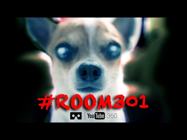 360 3D CHIHUAHUA HAUNTED HOTEL | Nic and Pancho #ROOM301