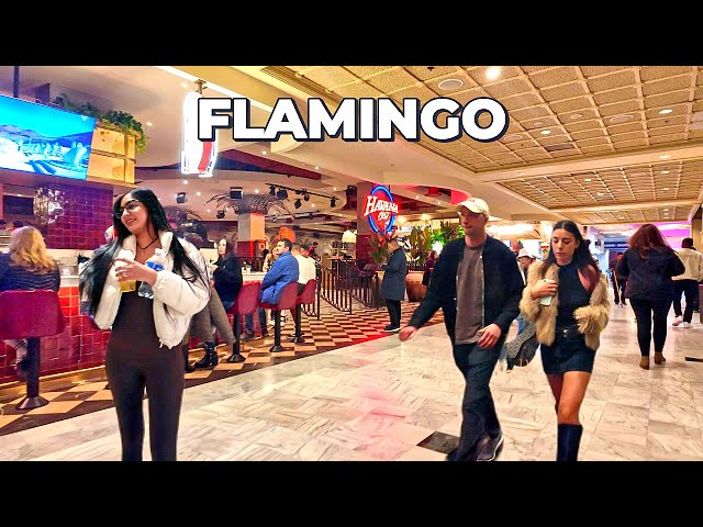 Flamingo Las Vegas Walk - January 2025