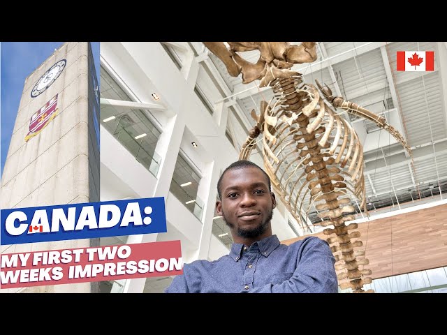 My First Impression about Memorial University of Newfoundland, Canada | One of Cheapest Universities