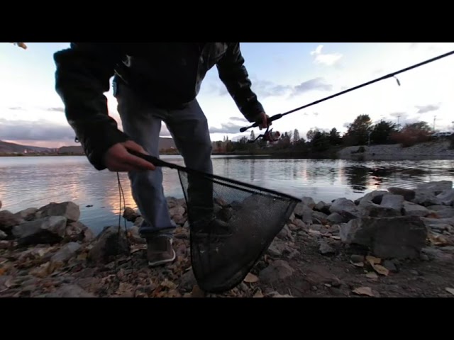 Sparks Marina Fishing VR