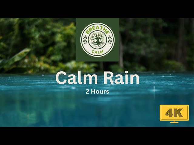 🌧️ Relaxing Rainfall on Water 🌊 | 4K Nature Sounds for Sleep & Calm 💤