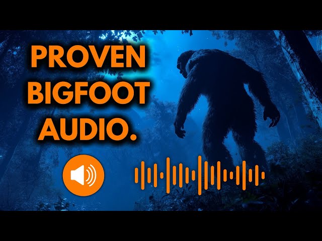 Bigfoot Audio Proof…7 Sounds That Can’t Be Fake