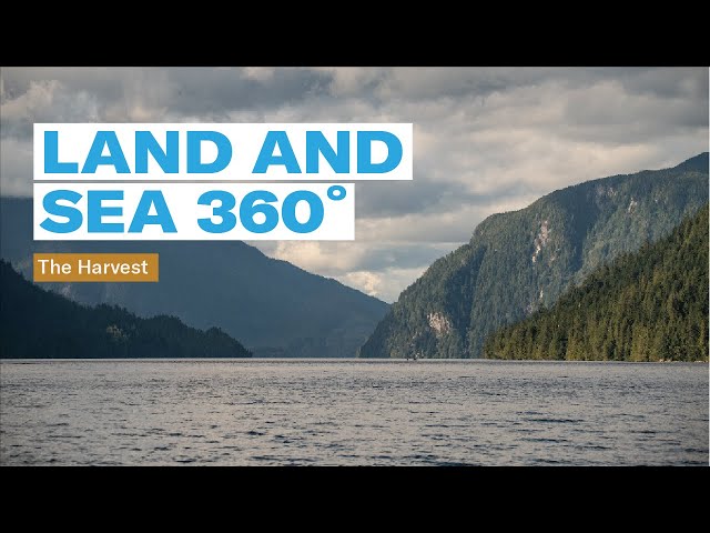 Land and sea 360˚ video