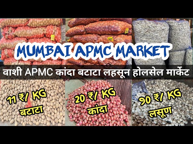 Mumbai Vashi Kanda Batata Market | Garlic Rate Today | India Potato Rate