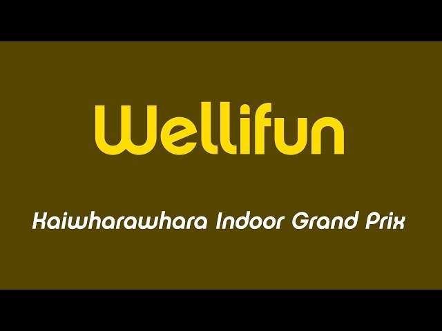 Wellifun - Kaiwharawhara Indoor Grand Prix Go-Karting, Laser Tag and Minigolf