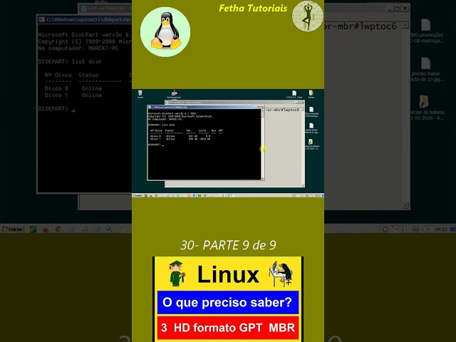 30- Curso de Linux para Leigos PARTE 9 de 9 de 3- Formato do HD GPT MBR. Disco rígido é gpt ou mbr