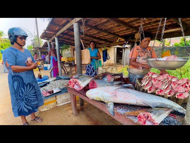 Wow Amazing!! Best Village Women Traditional Fish Market Live Super Fish Cut Skills