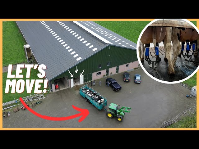 Time to move! - From MILK ROBOT to MILK BAR!? - FarmVlog