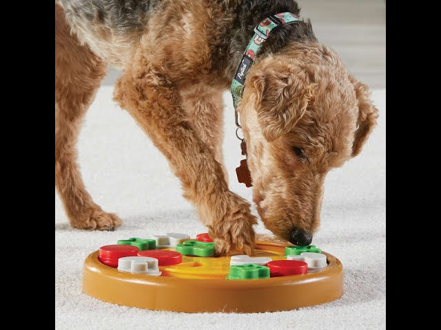 Brightkins Pizza Party! Interactive Dog Treat & Food Puzzle Toy