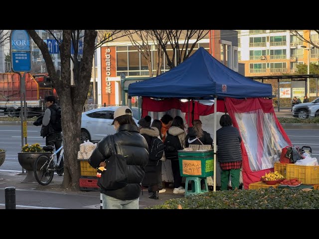 Street scenes, People, Life, Houses and Shops - Daegu, Korea [4K HDR]