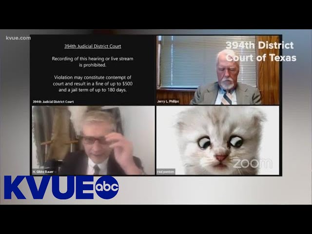 Texas attorney gets stuck with cat filter on Zoom | KVUE