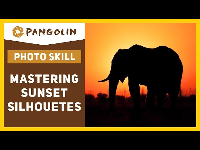 Sunset Photo Tips