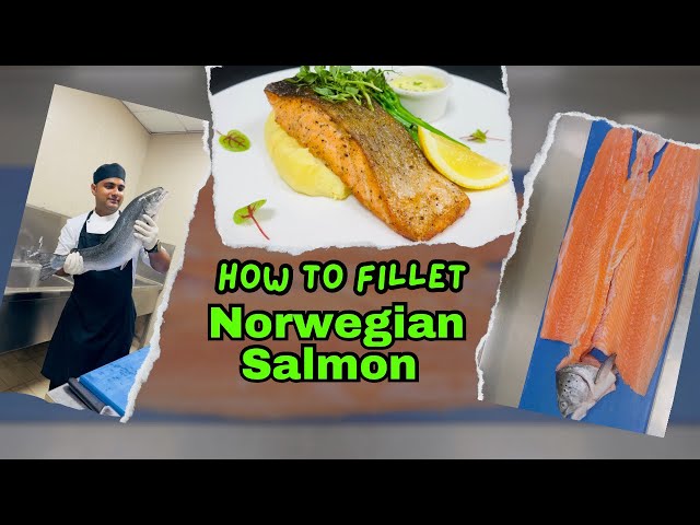 How to Fillet Norwegian Salmon & Cooking!!#abhiscafe