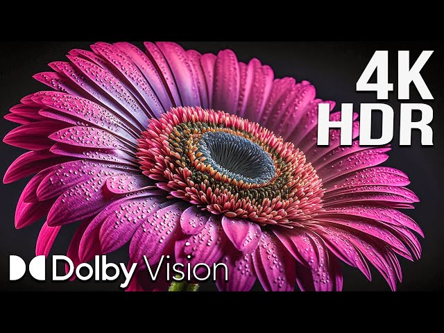 Wonderful 4K HDR 120FPS Dolby Vision