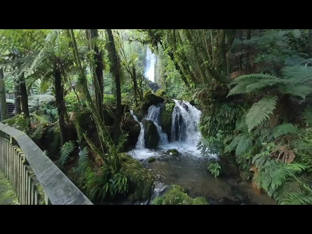 VR180 video of the Wairere Falls a bit further down