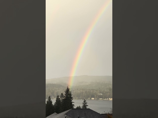 @TrinaMason 3:37pm November 22 2024 rainbow during a storm Bellingham Washington