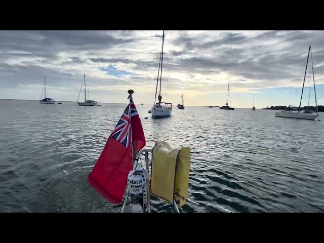 Sailing into Prickly Bay in Grenada grabbing a mooring Bouy