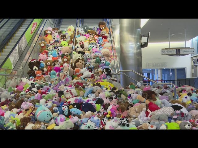 Toledo Walleye Teddy Bear Toss totals over 4,800 stuffed animals for local charities