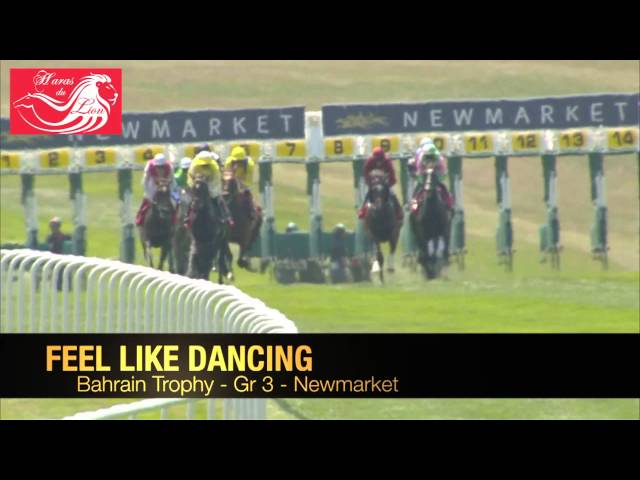 Feel Like Dancing : 2e Queen's Vase (Gr.3 - Royal Ascot), 1e Barhain Trophy (Gr.3 - Newmarket)