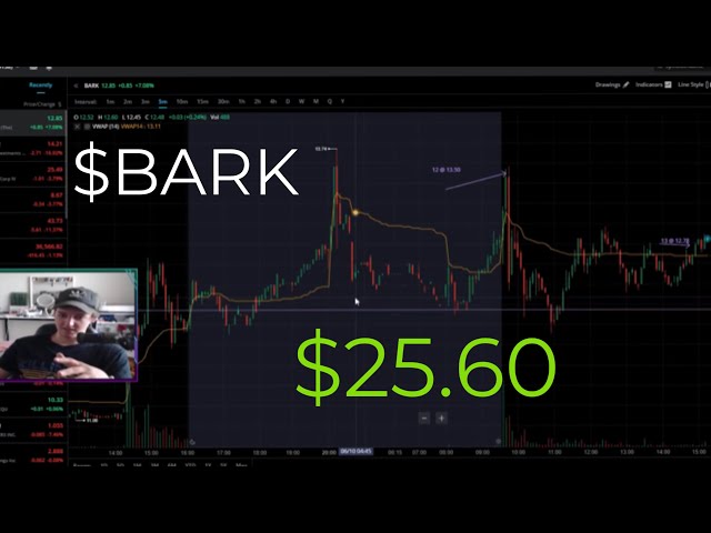 DAY TRADING $BARK | BARK BOX