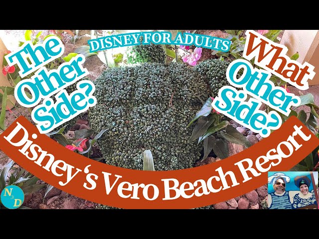 Disney ‘s Vero Beach Resort -  What Other Side? It Does Exist!