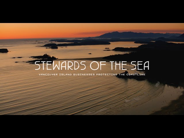 Stewards of the Sea: Vancouver Island Businesses Protecting The Coastline