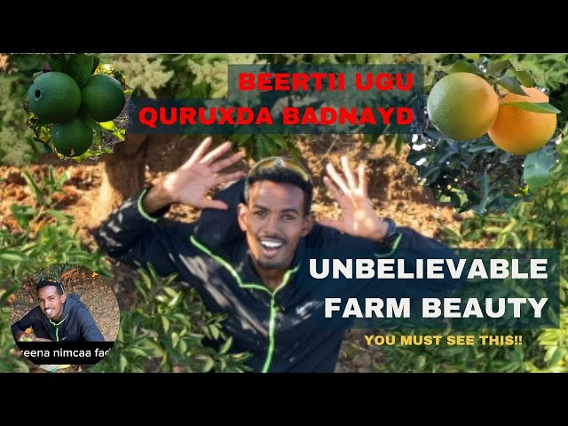 Our Beautiful Farm: Embracing Country Life and Farming Benefits | Beer aad u qurux badan