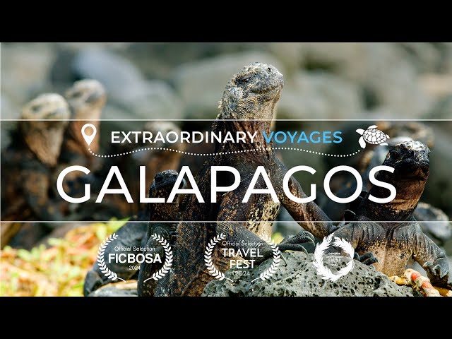 Galapagos Islands - Extraordinary Voyages - 4K