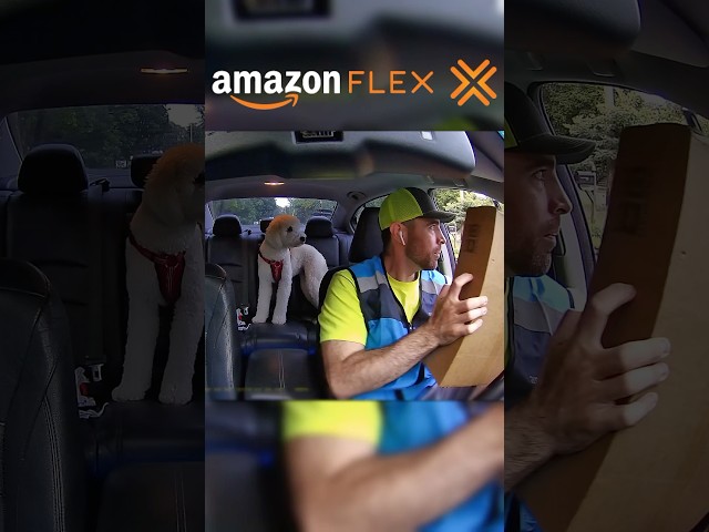 Hilarious Backseat Surprise During My Amazon Flex Deliveries! 📦 #amazonflex #delivery #dashcam