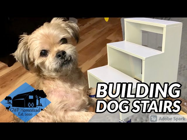 How to Make Dog Stairs | DIY Plywood Dog Steps