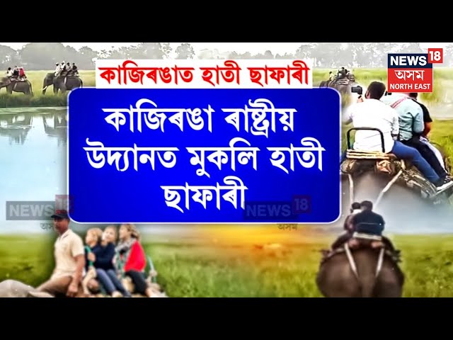 Kaziranga Elephant Safari 2024 | মন্ত্ৰী অতুল বৰাই ২০২৪-২৫ বৰ্ষৰ বাবে মুকলি কৰিলে হাতী ছাফাৰী | N18V