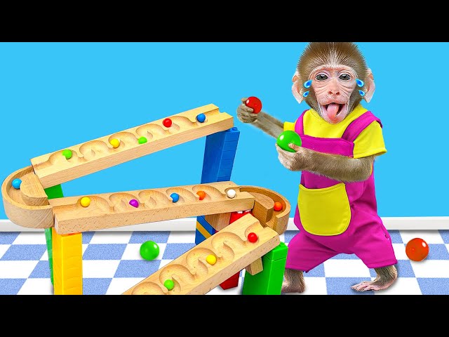 Baby Monkey Plays Happily with Colorful Balls at Home with His Friends | BABY MONKEY ESP